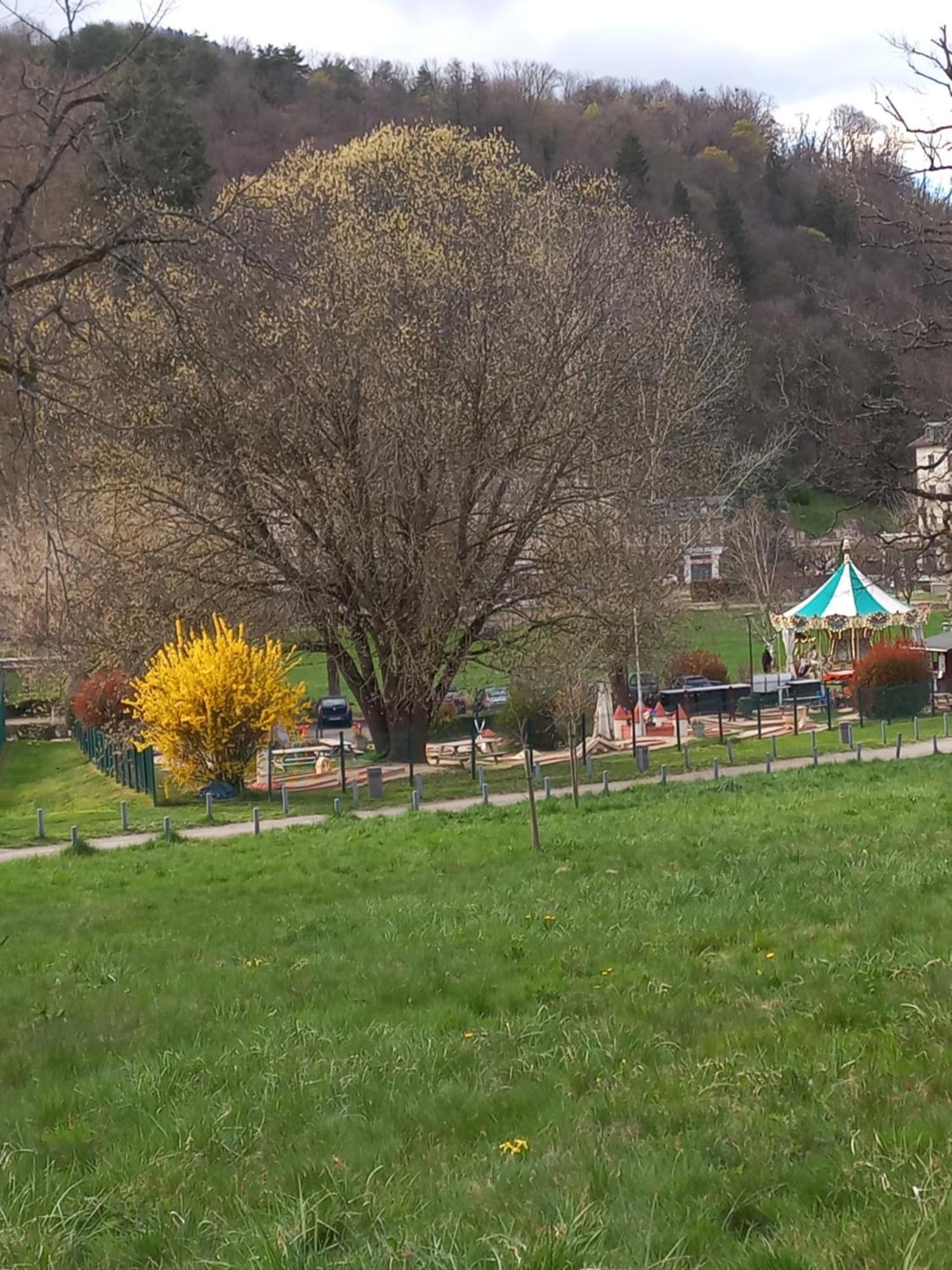 Residence Du Parc Saint-Martin-dʼUriage Zewnętrze zdjęcie